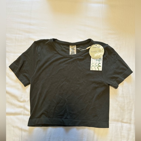 Shirts - Picture 2 of 3